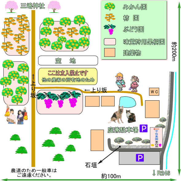 宇佐美園 園内マップ 大