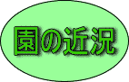 画像で「園の近況」を紹介するページへリンク