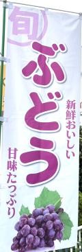 新鮮おいしい「ぶどう」甘味たっぷり