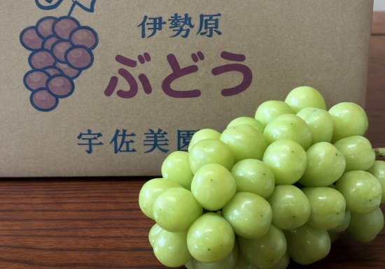 発送箱とシャインマスカット