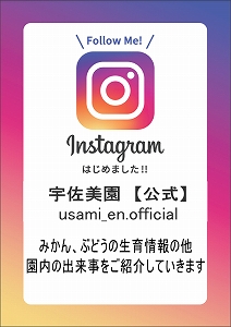 インスタグラム始めました