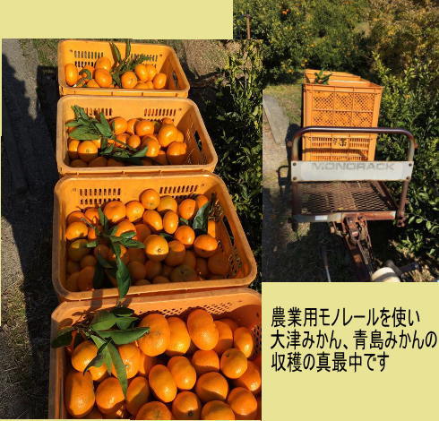 モノレール