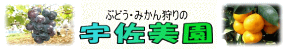 ぶどう・みかん狩りの宇佐美園